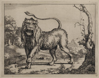 TvB G 0498
<br/>
Brullende leeuw
<br/>
<em>Bije, Marcus de (1639-ca. 1690)</em>